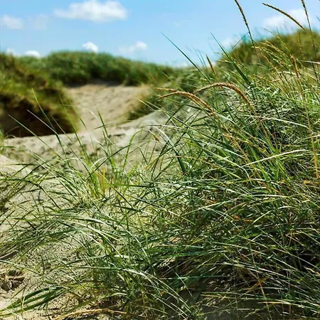 Nyaraló 0339-romo-a-hveyselsvej-32 Rømø Kirkeby