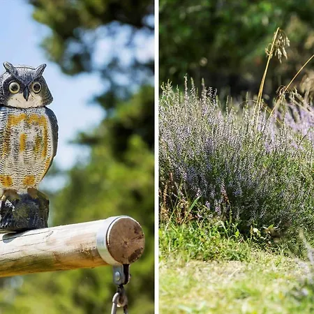 Nyaraló 0339-romo-a-hveyselsvej-32 *