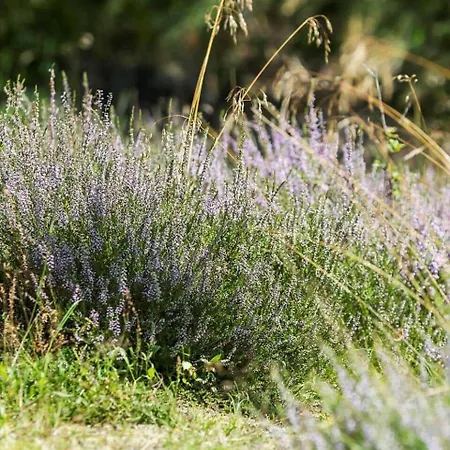 0339-romo-a-hveyselsvej-32 Nyaraló Rømø Kirkeby