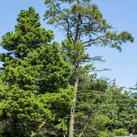 0339-romo-a-hveyselsvej-32 Nyaraló *