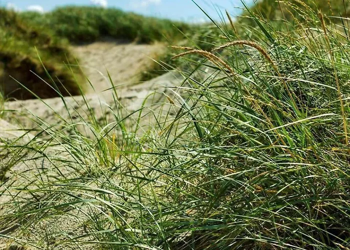 度假居 0339-romo-a-hveyselsvej-32 Rømø Kirkeby