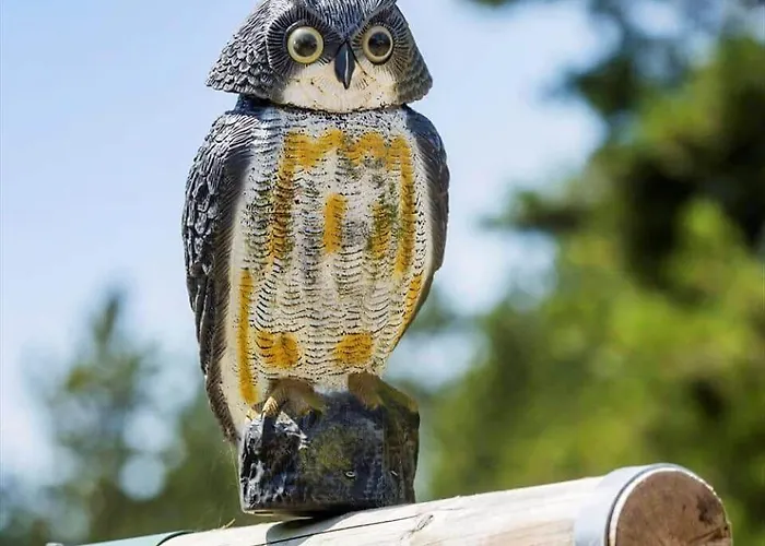 0339-romo-a-hveyselsvej-32 度假居 *