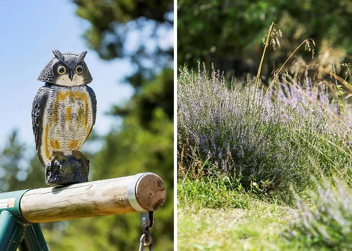 度假居 0339-romo-a-hveyselsvej-32 *