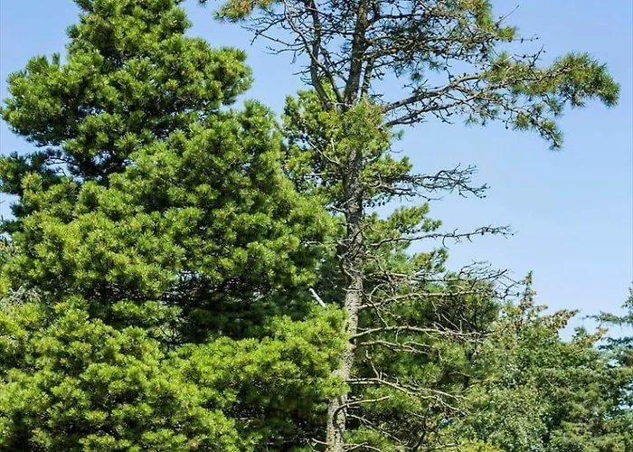 0339-romo-a-hveyselsvej-32 度假居 *